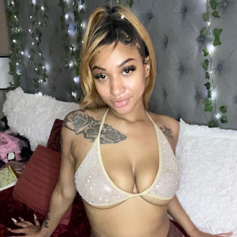 diamond-euphoria-main-2 | Nevada Escorts